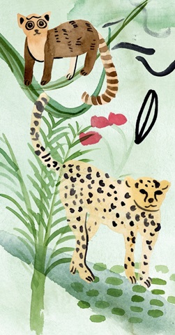 Jungle of Life Collection B