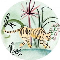 Jungle of Life Collection C