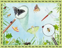 Little Bug Collector A