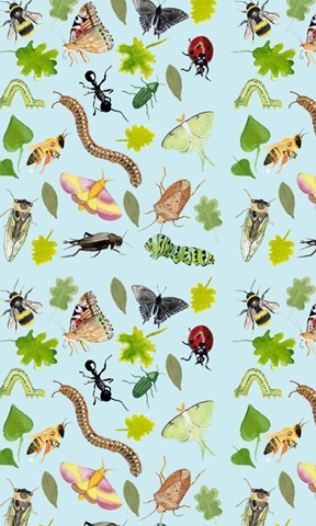 Little Bug Collector E