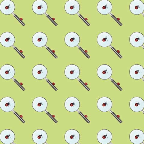 Little Bug Collector G