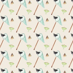 Little Bug Collector H