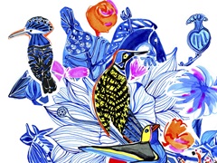 Menagerie Collection A