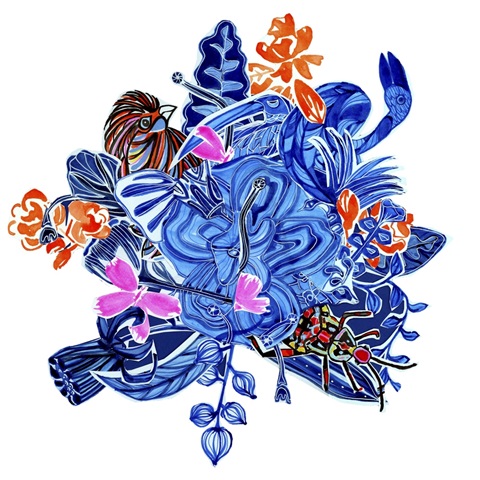 Menagerie Collection C