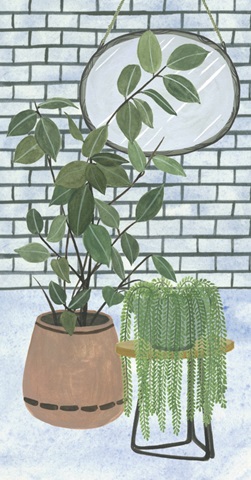 Mes Plantes Collection B