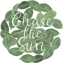 Mes Plantes Collection C