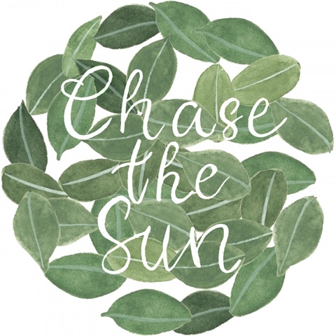 Mes Plantes Collection C