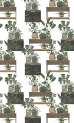 Mes Plantes Collection E