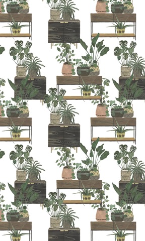 Mes Plantes Collection E