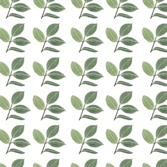 Mes Plantes Collection G