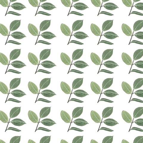 Mes Plantes Collection G