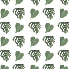 Mes Plantes Collection I