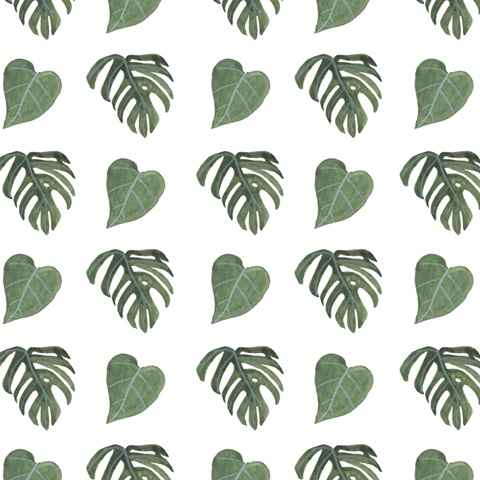 Mes Plantes Collection I