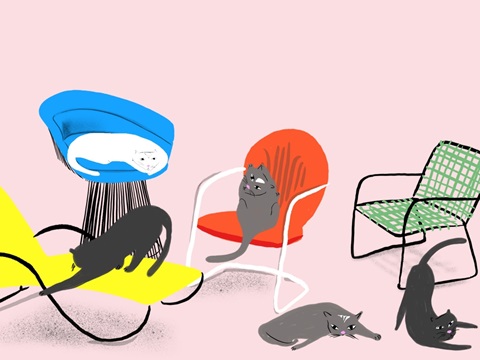 Mod Cats Collection A