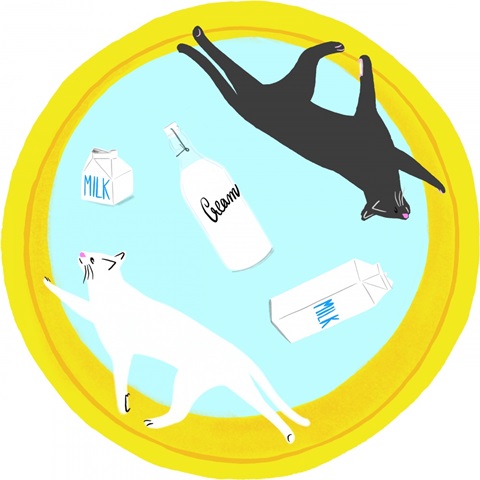 Mod Cats Collection C