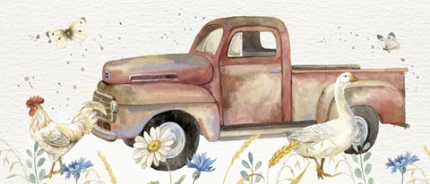 Nostalgic Farm Collection D