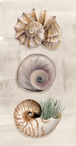 Ocean Keepsake Collection B