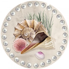 Ocean Keepsake Collection C