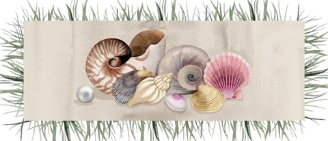 Ocean Keepsake Collection D