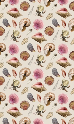 Ocean Keepsake Collection E