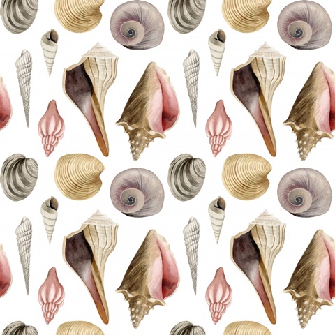 Ocean Keepsake Collection F