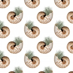 Ocean Keepsake Collection H