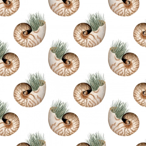 Ocean Keepsake Collection H