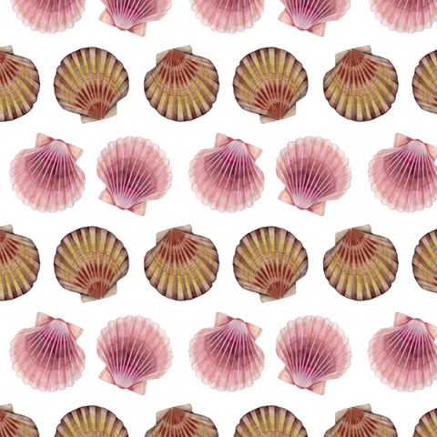 Ocean Keepsake Collection I