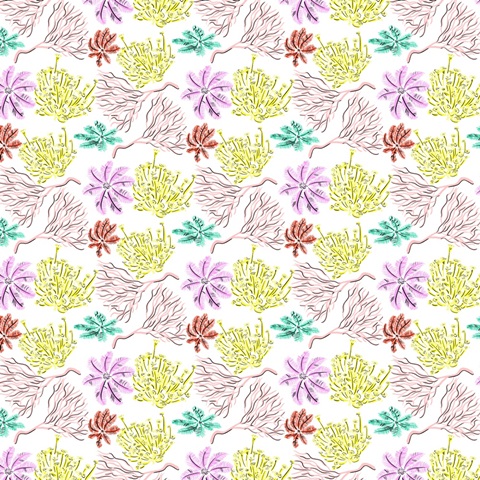 Ocean's Bottom Collection G