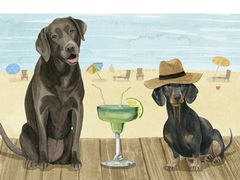 On a Boardwalk Collection A