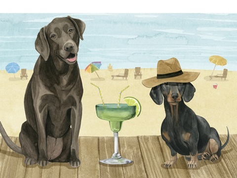 On a Boardwalk Collection A