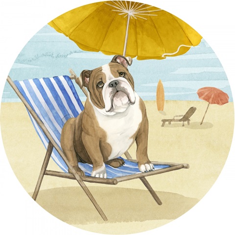 On a Boardwalk Collection C