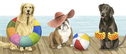 On a Boardwalk Collection D