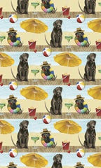 On a Boardwalk Collection E