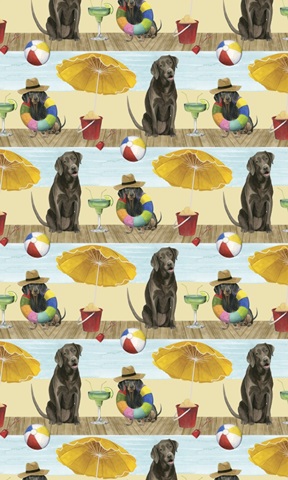 On a Boardwalk Collection E