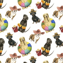 On a Boardwalk Collection F