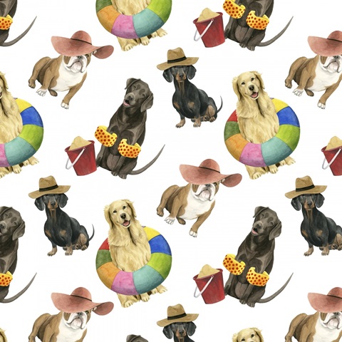 On a Boardwalk Collection F