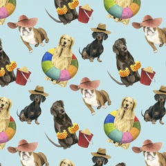 On a Boardwalk Collection H