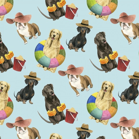 On a Boardwalk Collection H