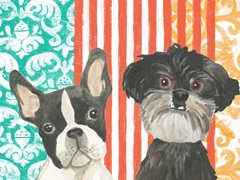 Parlor Pooch Collection A