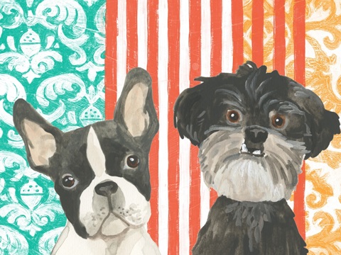 Parlor Pooch Collection A