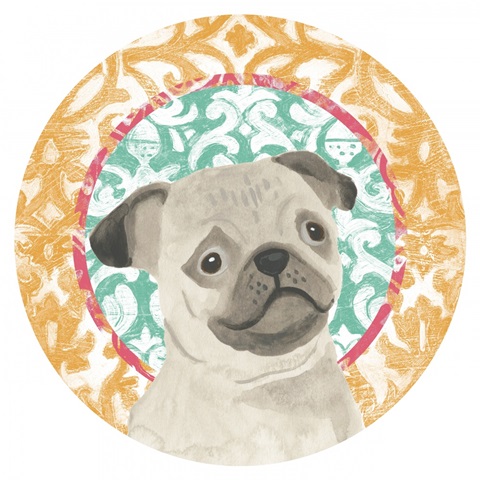 Parlor Pooch Collection C