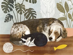 Pet Life Collection A