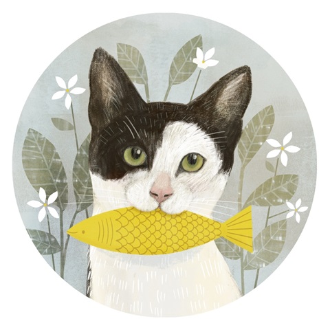 Pet Life Collection C