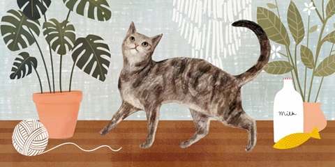 Pet Life Collection D