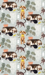 Pet Life Collection E