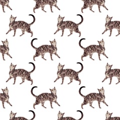 Pet Life Collection H