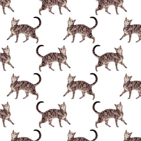 Pet Life Collection H