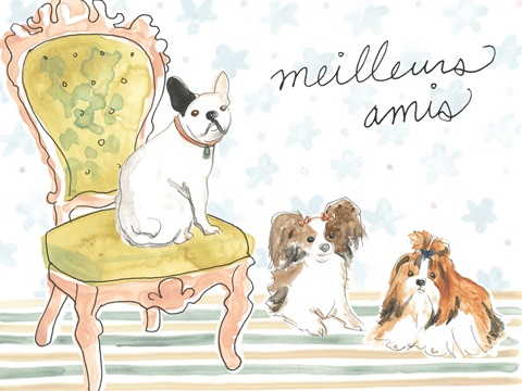 Petite Chien Collection A