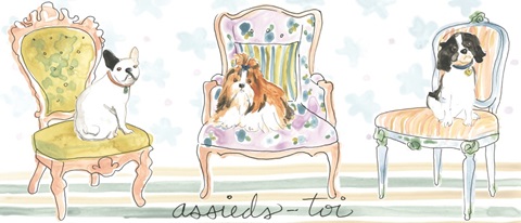 Petite Chien Collection D